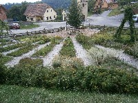 P8030140 P8030140